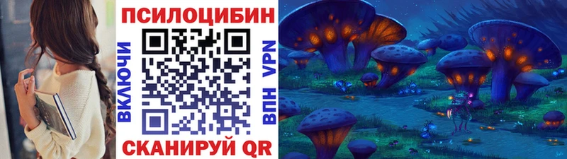 магазин  наркотиков  это официальный сайт  mega ССЫЛКА  Псилоцибиновые грибы Cubensis  Новочебоксарск 