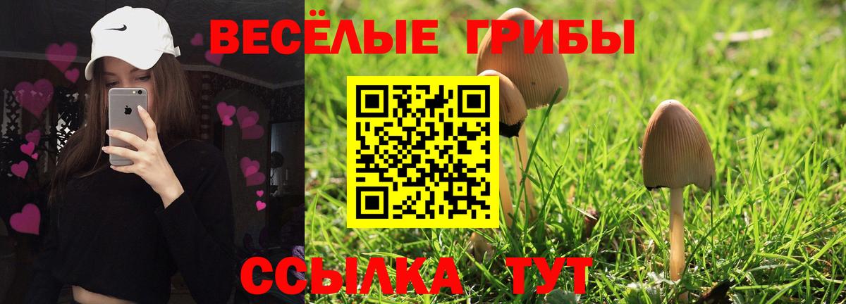 Новочебоксарск  Псилоцибиновые грибы мухоморы  Вход с VPN 