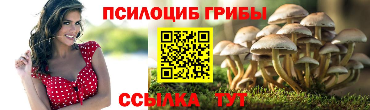 Псилоцибиновые грибы Magic Shrooms Новочебоксарск